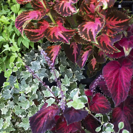 Hotel The Corner Rome