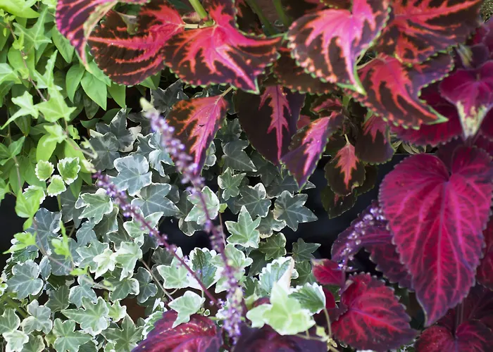 Hotel The Corner Rome